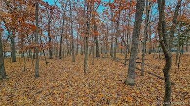 Lot #274 Grand Point Blvd, Jasper Township, MO 65079 - photo 7