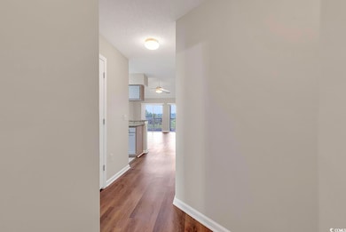 Hallway featuring dark wood-type flooring and a te