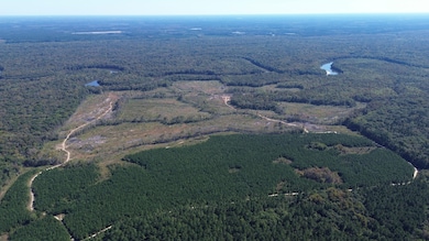 0 Newington Hwy unit 25460796, Sylvania, GA 30467 - photo 7