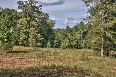 1201 Waterstone Dr, Madison, GA 30650 - photo 4