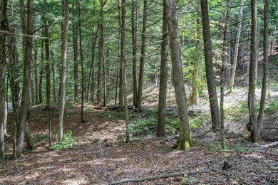 00 Starbuck Rd, Pomfret, VT 05084 - photo 5