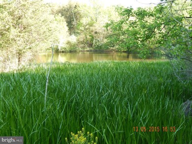 295 E Dark Hollow Rd, Tinicum Township, PA 18947 - photo 2