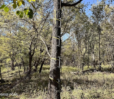 000 Pine Rd, Carthage, MO 64836 - photo 7