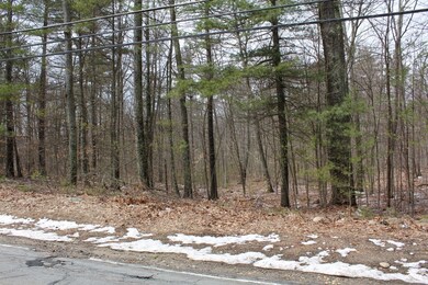 5 Williamsville Rd, Barre, MA 01005 - photo 2