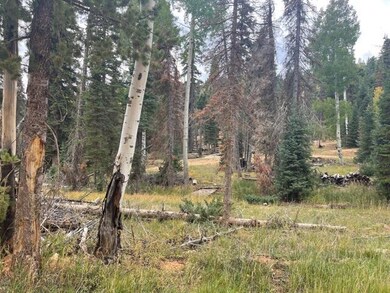 955 W Bear Track unit (Lot 66), Duck Creek Village, UT 84762 - photo 6