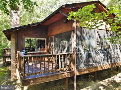 21 Pickett St, Basye, VA 22810 - photo 6