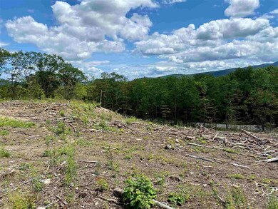 32 Forest Ledge Rd, Bartlett, NH 03838 - photo 4