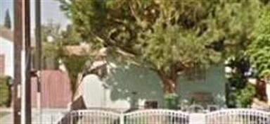Carousel Image