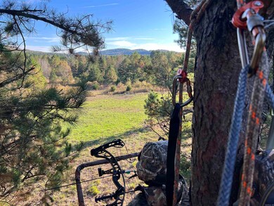 0000 Flannery Ln, Calico Rock, AR 72519 - photo 6