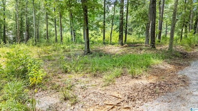 Lot 7 Hebb Rd unit 7, Wilsonville, AL 35186 - photo 3