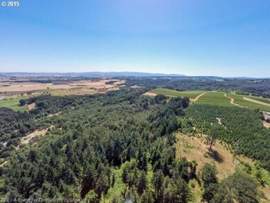 0 SW Vineyard Ln unit 15359757, McMinnville, OR 97128 - photo 3