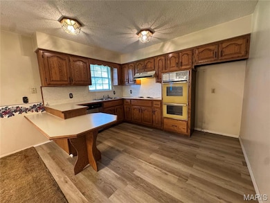 363 Harrison Ln, Poplar Bluff, MO 63901 - photo 3