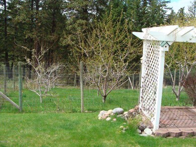 Fruit Trees