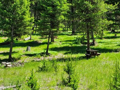 934 Montana Dr, Seeley Lake, MT 59868 - photo 3