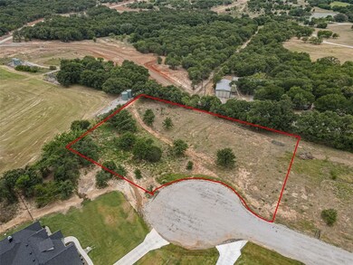 208 S Saddle Spur Ct, Weatherford, TX 76087 - photo 4