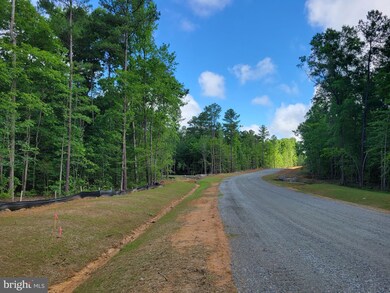 00 Watkins Mill Rd - Lot 28, Midlothian, VA 23113 - photo 7
