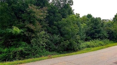 112' Frontage of West F St Newton NC 28658