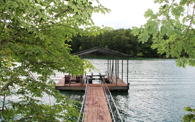 Additional View