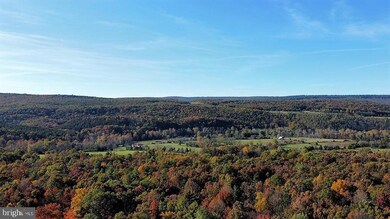 1501 Trout Run Rd, Wardensville, WV 26851 - photo 6