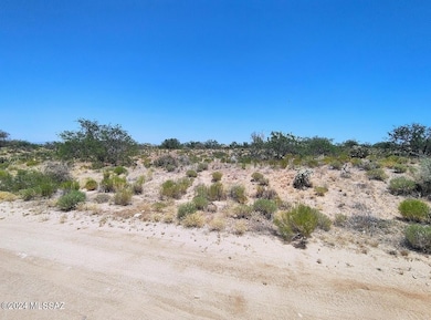 13471 Bruckner Ave unit 416, Tucson, AZ 85736 - photo 6