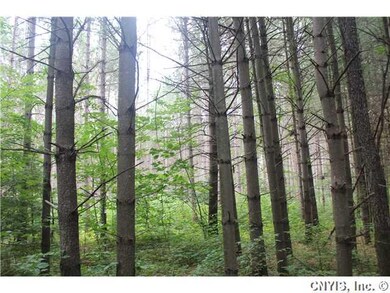 Land/Lot