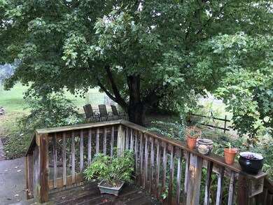 Wooded large back yard