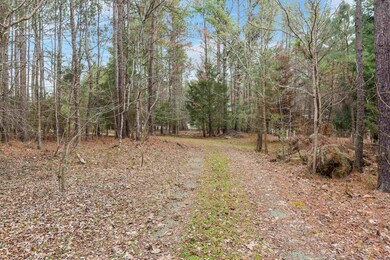 1724 Lutterloh Rd, Pittsboro, NC 27312 - photo 5