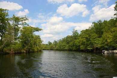 104 lure ct Lure Ct unit Homesite 2, Conway, SC 29526 - photo 3