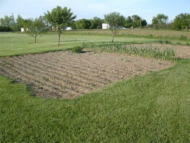 Yard/Garden GARDEN AND FRUIT TREES