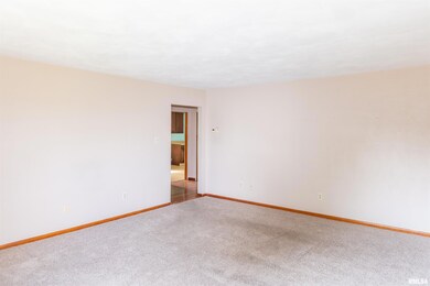 966 N 7th Ave, Canton, IL 61520 - photo 3