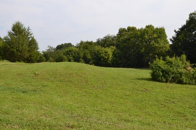 1050 Edmundson Rd, Prospect, TN 38477 - photo 7