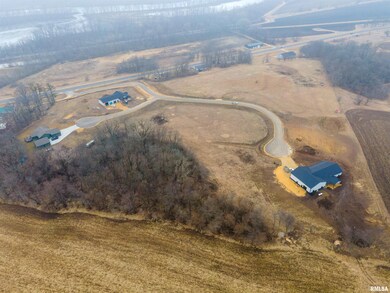 4038 Rock Creek Ct, Camanche, IA 52730 - photo 3