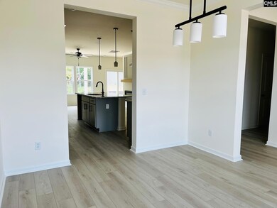 417 Destiny Farm Ln, Blythewood, SC 29016 - photo 7