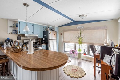 35253 7th St unit 20781, Millsboro, DE 19966 - photo 7