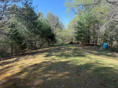 00 Appleberry Ln, Franklin, NC 28734 - photo 3