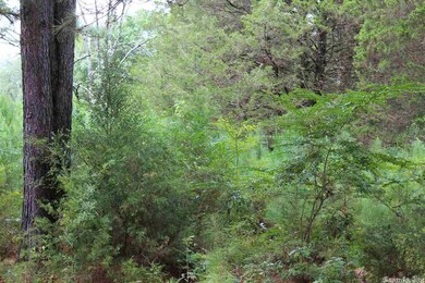 0 Randall Ave unit 22022383, Heber Springs, AR 72543 - photo 6