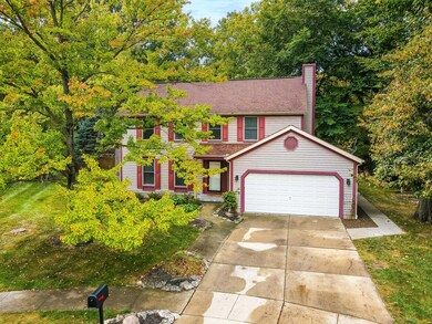 7483 Mapleleaf Court (DRONE)-2