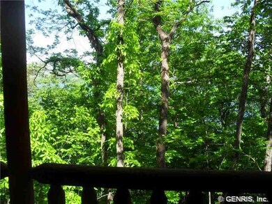 View. View from the covered deck.  It s almost  li