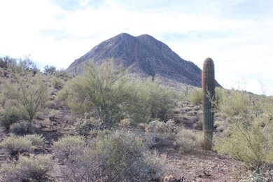 standing on lot looking South at Gavalin