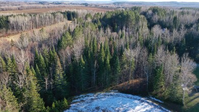 DJI_0232