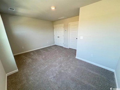 1301 American Shad St, Conway, SC 29526 - photo 4