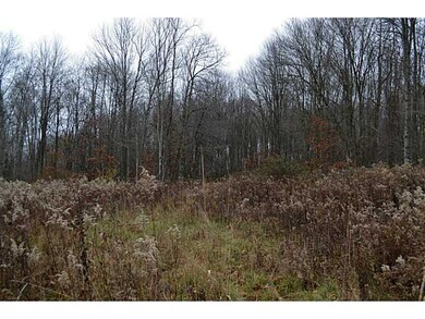 Land.