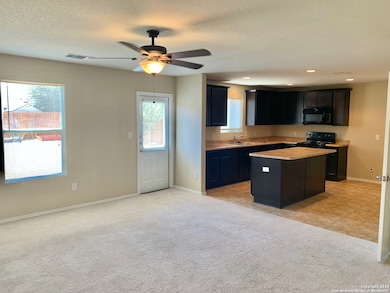 11822 Pure Silver St, San Antonio, TX 78254 - photo 6