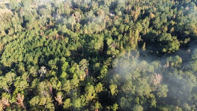 0 Highway 81, Notasulga, AL 36866 - photo 5