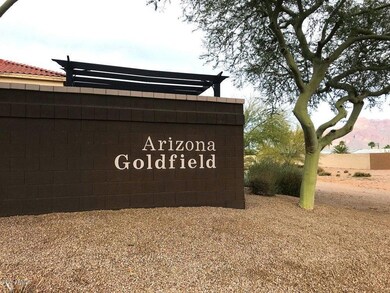 arizona goldfield 2