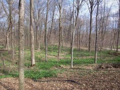 5001 N 800 E, New Carlisle, IN 46552 - photo 5