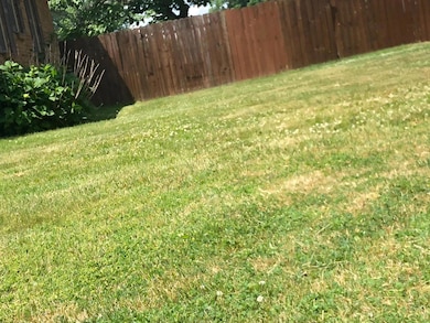 backyard.2