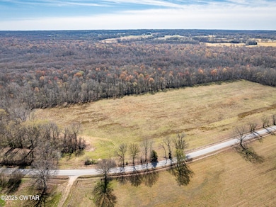 0 Lavinia Rd, Medina, TN 38355 - photo 2