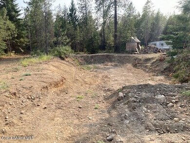 29224 N Old Highway 95, Athol, ID 83801 - photo 5