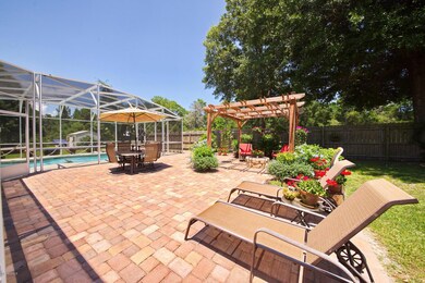 Back Patio